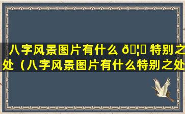 八字风景图片有什么 🦉 特别之处（八字风景图片有什么特别之处吗）